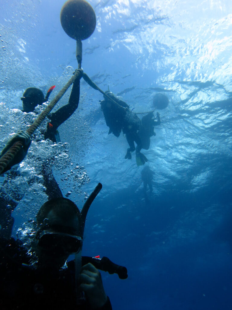 Divers holding onto a line all the way up to the surface, with different distances away, in very clear blue water at South Solitary Island