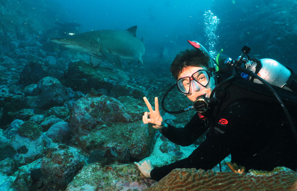 Grey Nurse shark and happy diver