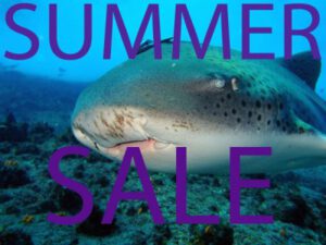 Jetty Dive Summer Sale!