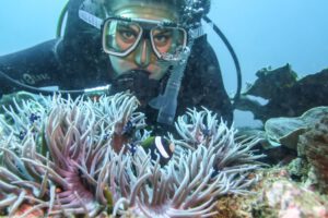 6th March 2019 – Newbie Divers Discover Solitary Island Marine Park