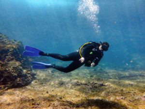 Dive Reports – May 2016