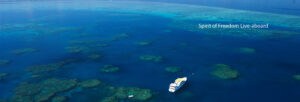 Coral Sea and Cod Hole Barrier Reef Trip