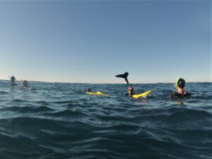 6th September 2017 – Swimming with Humpback Whales