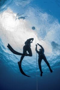 Freediver Course Starting end of March
