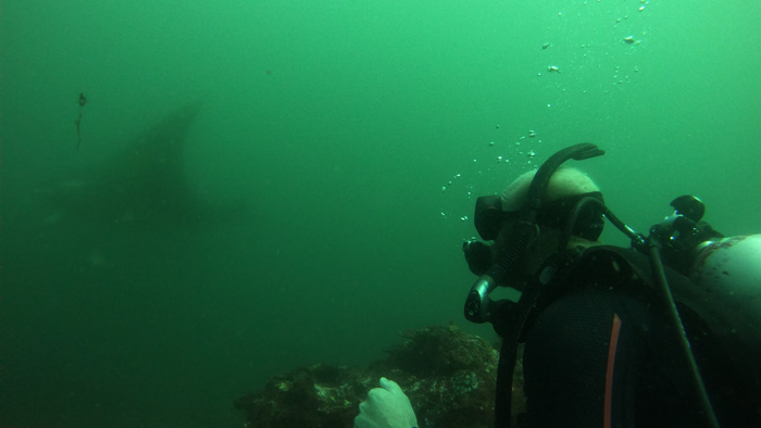 Manta At South Solitary 6.4.18 with Andrew