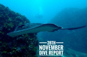 28th November 2019 – Finally back in the water!