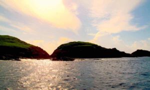 Diving The Solitary Islands Marine Park – Coff’s Harbour