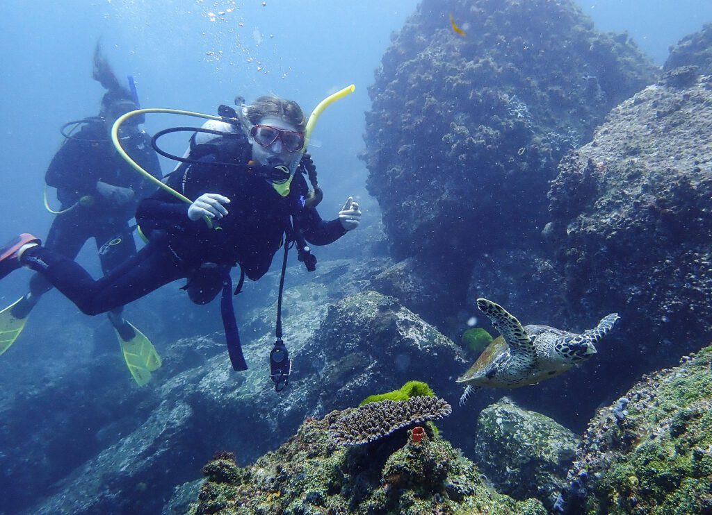 Hawksbill Turtle with diver Zoya at Boulder Wall
