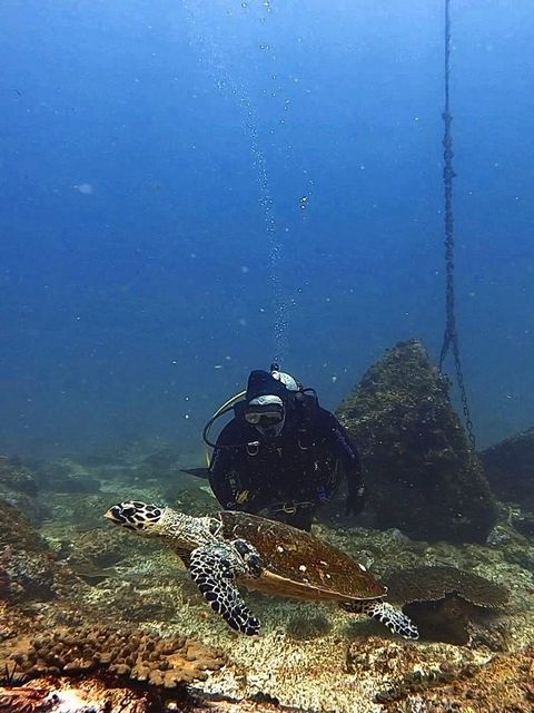 Phil & Hawksbill Turtle at South Boulder