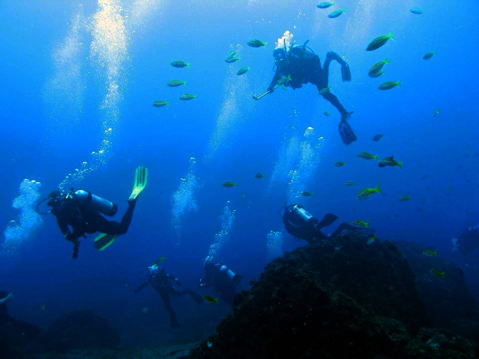 Divers in amazing visibility at South Solitary Island