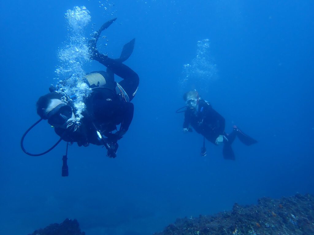 Divers in good visibility
