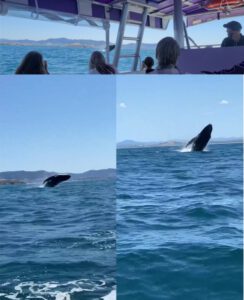 Whale Watch Report – 4th October 2021