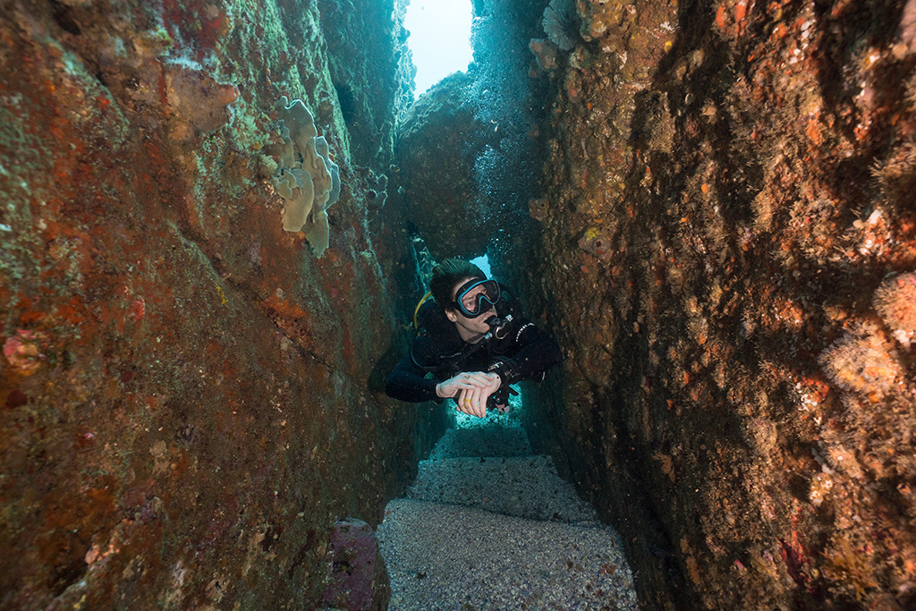 diver in shark gutter