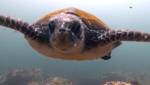 23th December 2025- Rain or Shine.. We Dive!