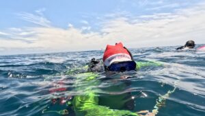 24th December 2025- Merry Christmas from Jetty Dive!