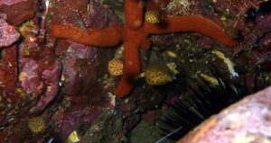 4th January 2026- Solitary’s sunday!