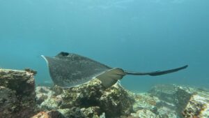 5th January 2026- Magic Monday at South Sol