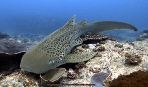 8th February 2026-Best of both worlds