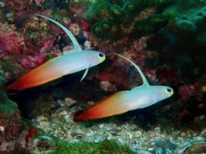 7th March 2026 – Small Stuff Saturday!