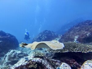 22nd March 2026 – Numbray Sunday!