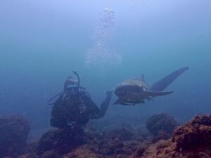 23rd March 2026 – Fish Soup Monday!