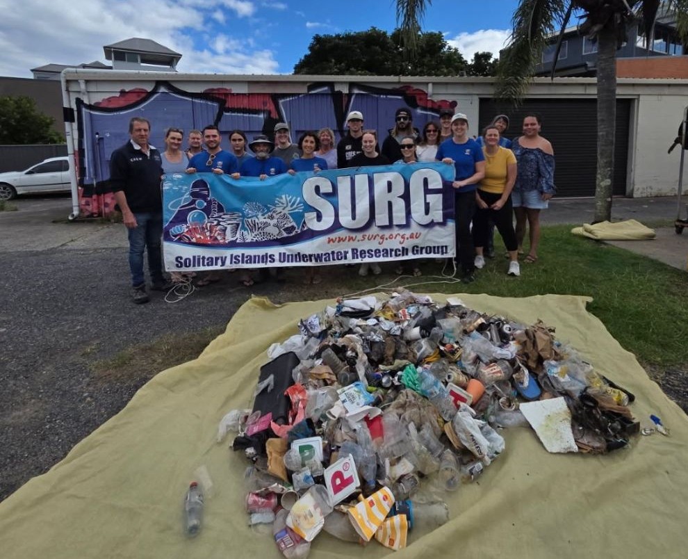 Clean Up Haul