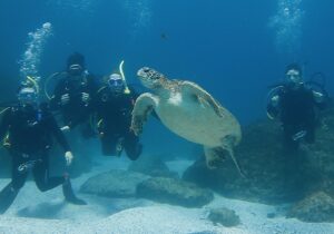 20th September 2026 – Students mix with Turtles